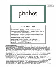 Load image into Gallery viewer, English from the Roots Up- Discontinued