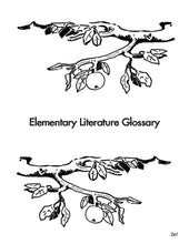 Load image into Gallery viewer, Literature 6 Student Book