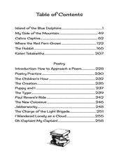 Load image into Gallery viewer, Literature 5 Activities Book
