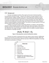 Load image into Gallery viewer, Biology Instructor Key Lab Manual