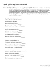 Load image into Gallery viewer, Literature 5 Activities Book
