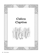 Load image into Gallery viewer, Literature 5 Activities Book