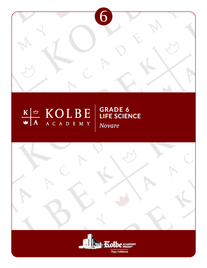Course Plan & Tests - Novare Life Science