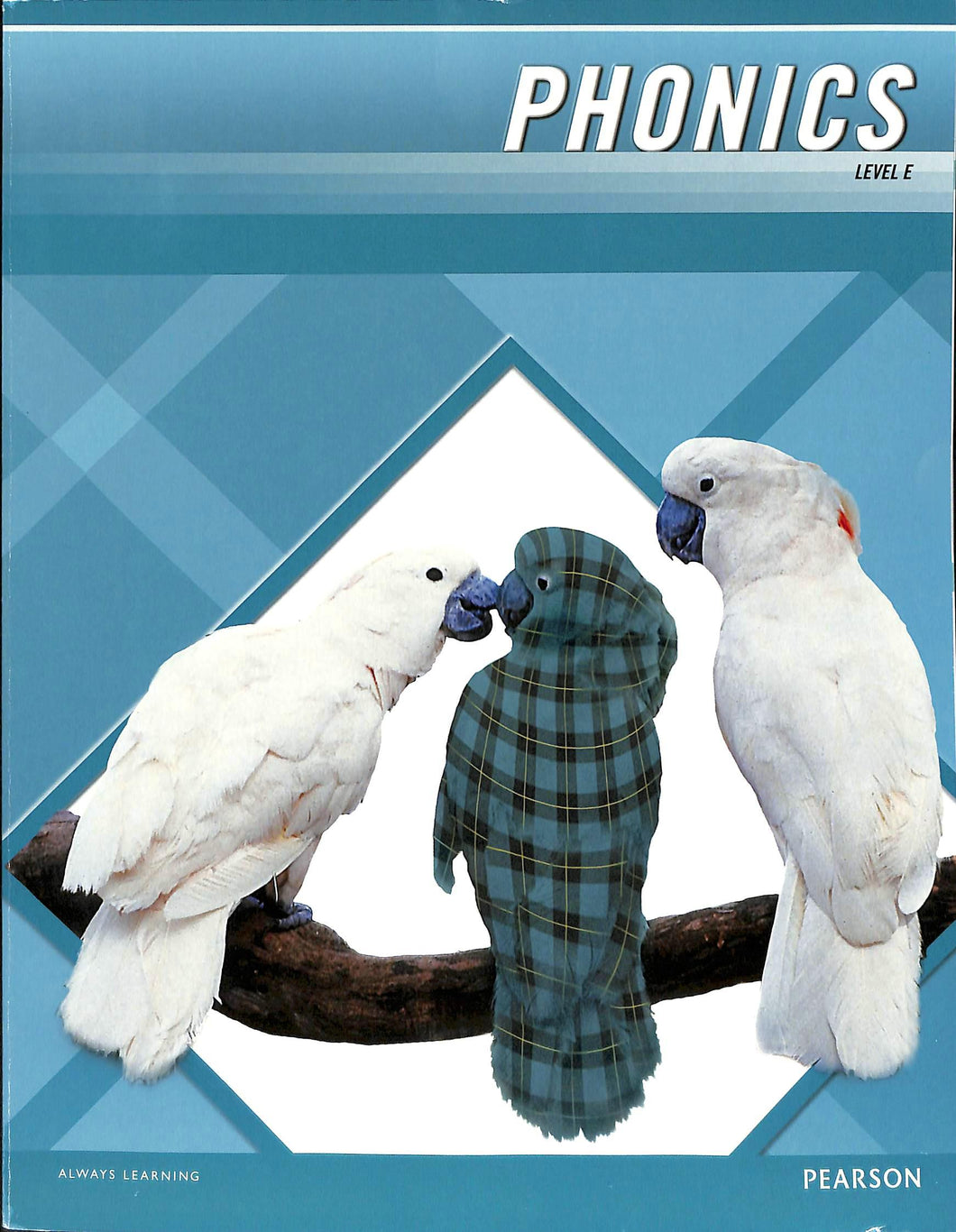 Phonics Level E Workbook