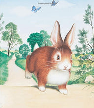 Load image into Gallery viewer, Home For A Bunny