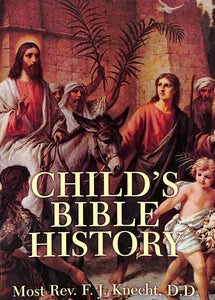Child's Bible History Textbook