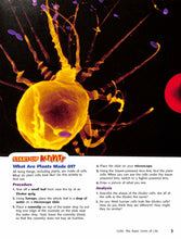 Load image into Gallery viewer, Holt Life Science Short Course C Textbook- Discontinued in 2024-2025 school year