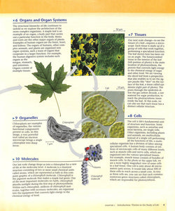 Campbell's AP Biology Textbook