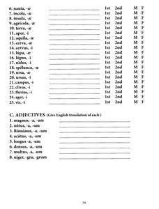Liber Secundus Britanni et Galli Teacher Manual