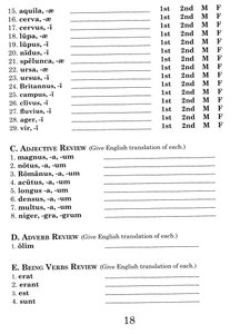Liber Secundus Britanni et Galli Workbook